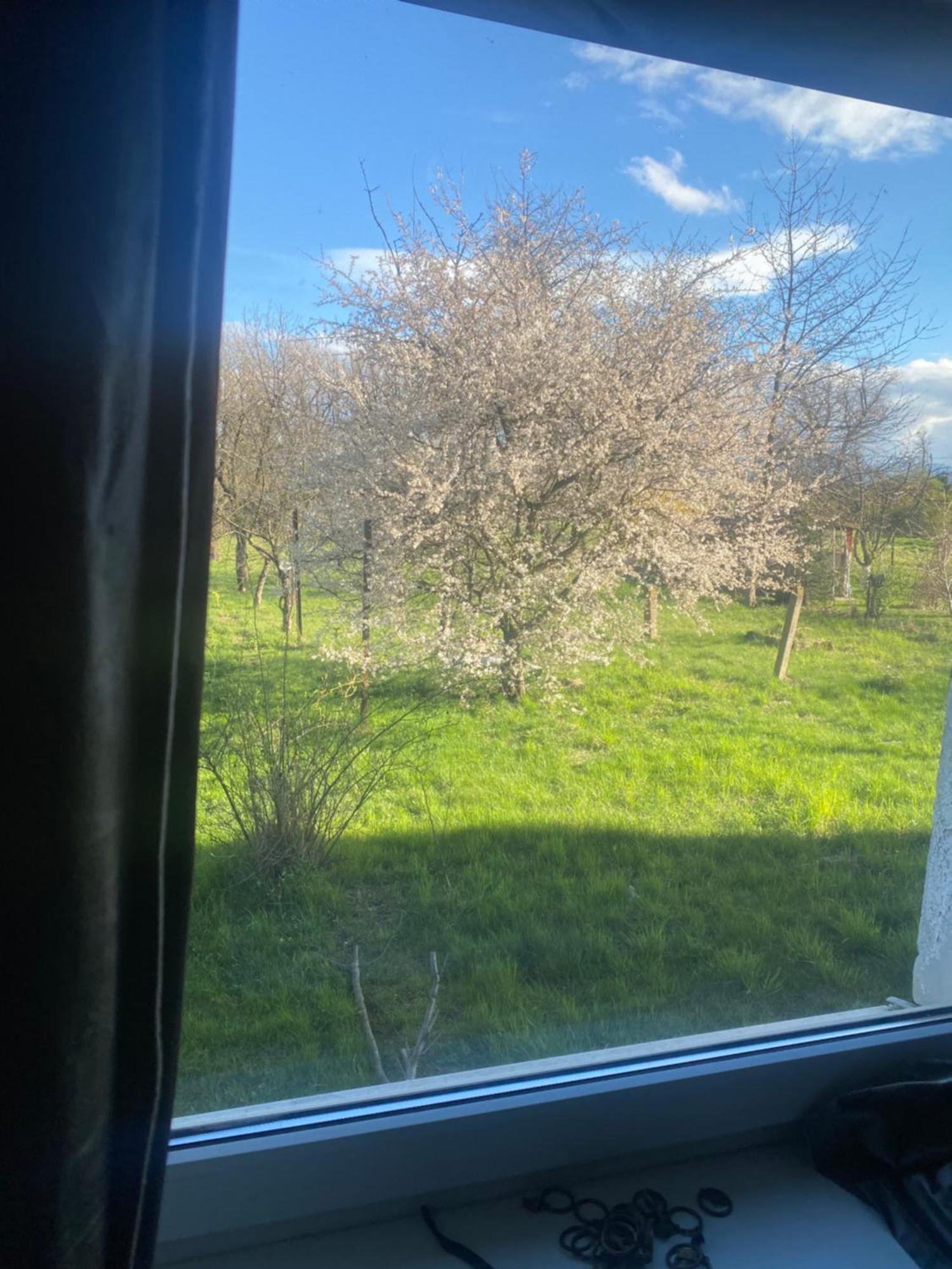 Apartamenty Ciukaj Paczkow Bagian luar foto